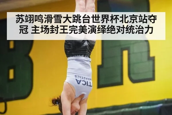 苏翊鸣滑雪大跳台世界杯北京站夺冠 主场封王完美演绎绝对统治力