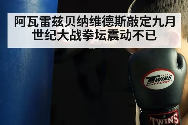 阿瓦雷兹贝纳维德斯敲定九月世纪大战拳坛震动不已